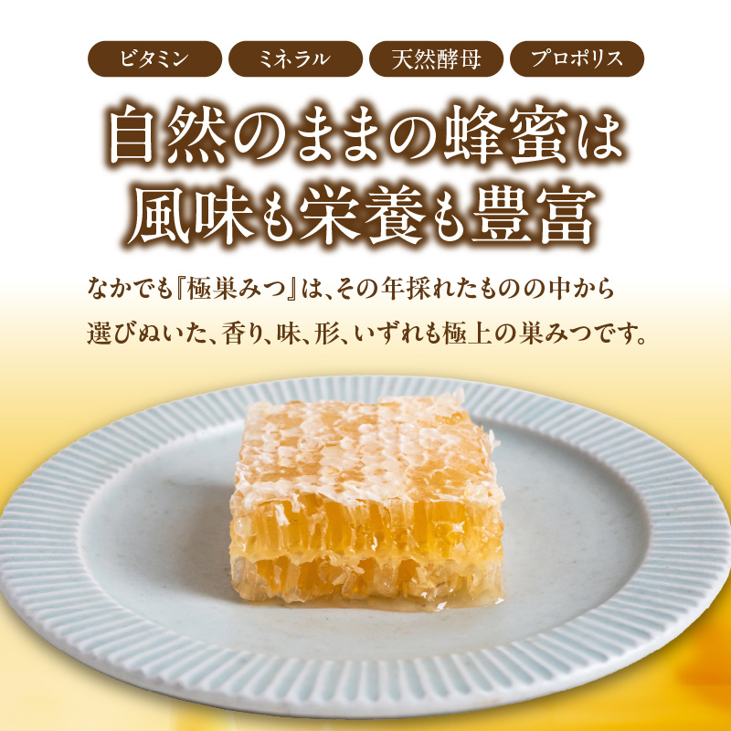  【TVで紹介！】はちみつ 国産 極巣みつ 310g ミツバチ 巣 蜂蜜 巣みつ 自然 貯蔵 鮮度 味 栄養 極上 香り 形 福岡県 八女市