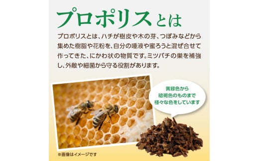 プロポリス入りはちみつ 160g