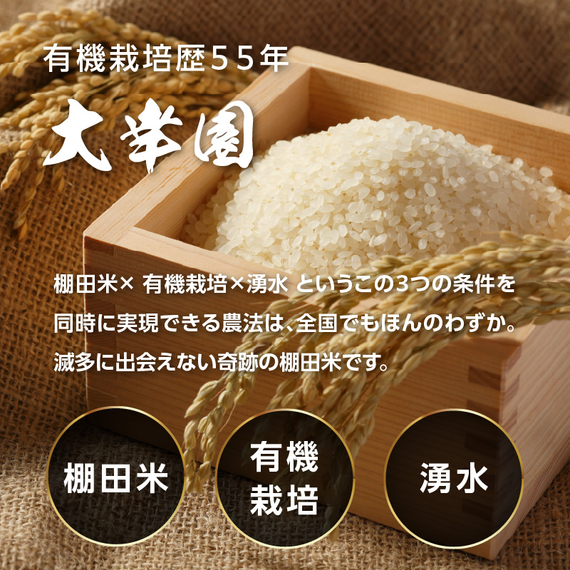 大幸園の玄米 3回定期便 有機JAS 認証 有機米 棚田米 5kg  米 国産 玄米 有機栽培 無農薬 甘い お米 九州産 オーガニック 福岡県 八女市