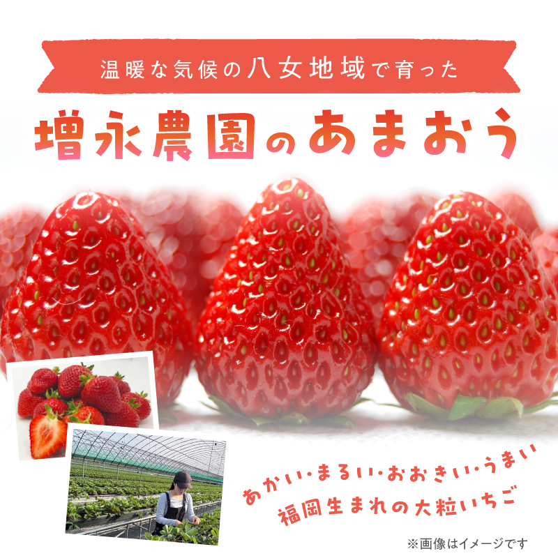 【増永農園】 あまおう 270g×2パック 【2026年1月より順次発送】  ジューシー フレッシュ 苺 果物 くだもの スイーツ作り 数量限定 イチゴ 期間限定 美味しい いちご 福岡県 八女市