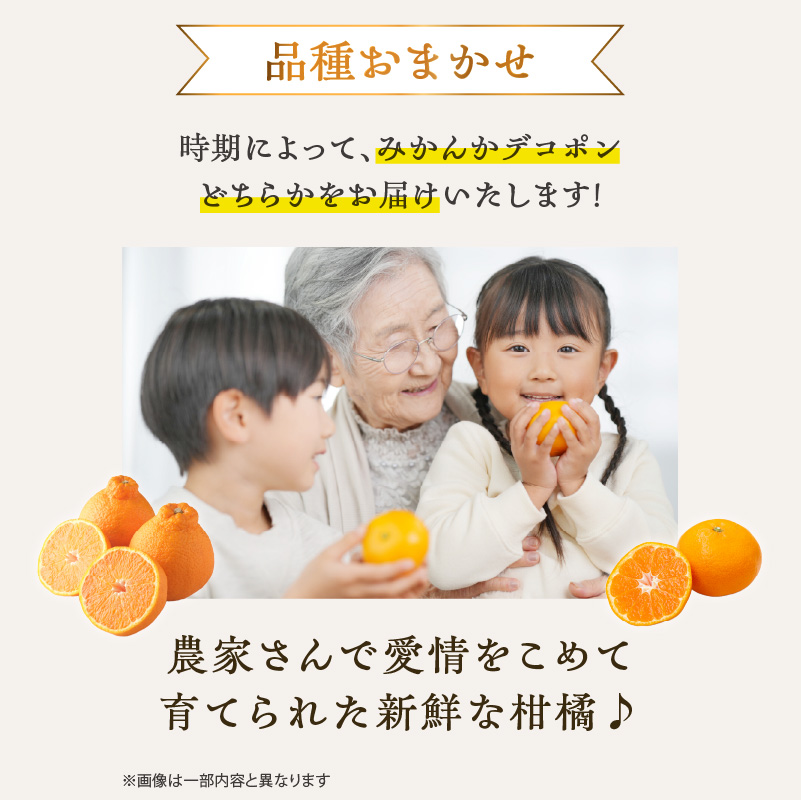品種おまかせ！柑橘（5kg）＜配送不可：北海道・沖縄・離島＞  ミカン みかん デコポン 柑橘 おまかせ 5キロ 旬 フルーツ 果物 福岡県 八女市