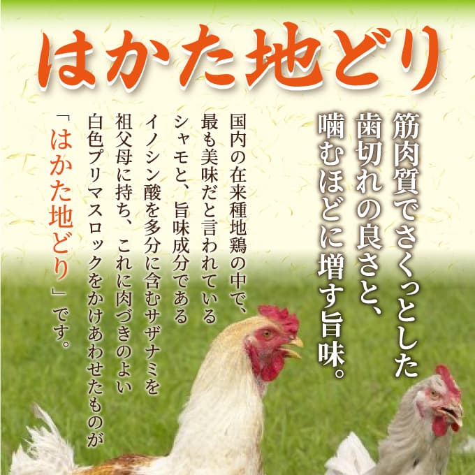 はかた地どり炭火焼セット 500g(100g×5p)  はかた地どり 地鶏 炭火焼 おつまみ 郷土料理 小分け お手軽 福岡県 八女市