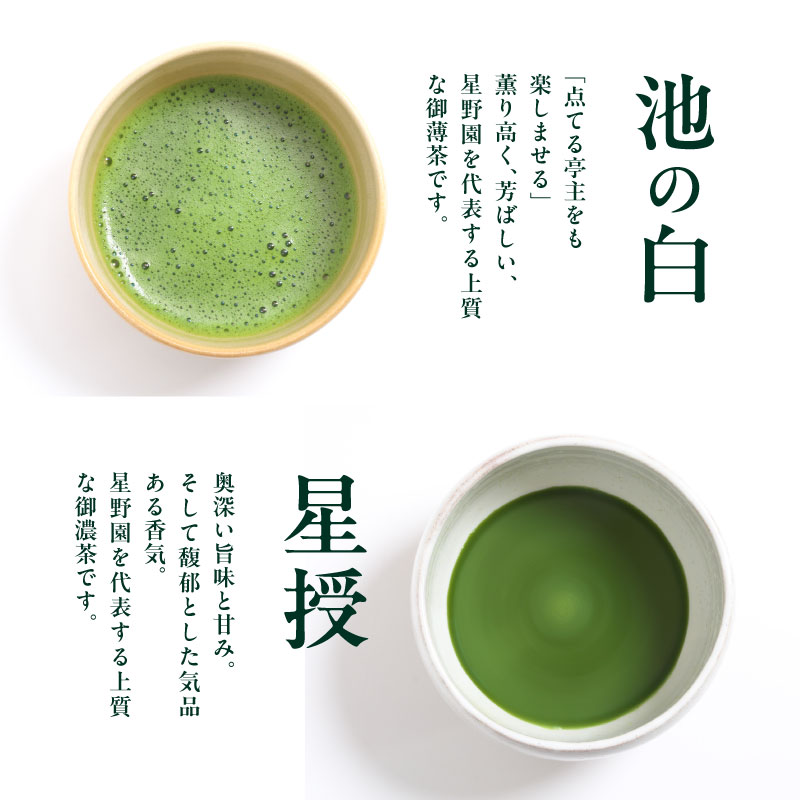 星野抹茶 星授（濃い茶用）・池の白（薄茶用） セット 抹茶 濃い茶 薄茶 星野茶 抹茶粉 お稽古 茶道