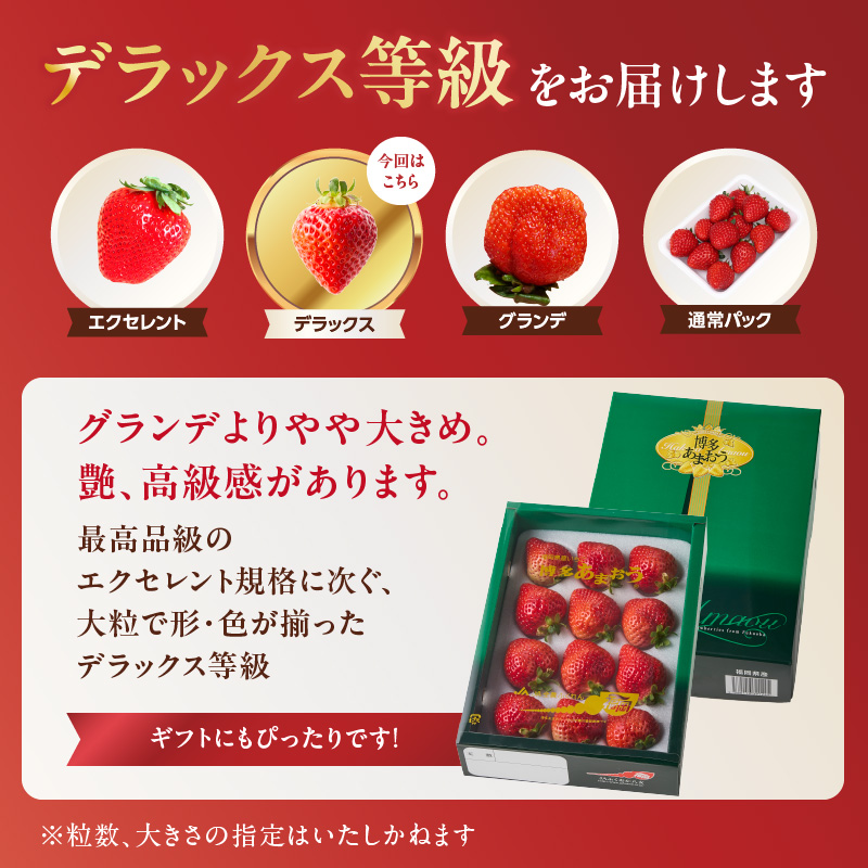 【2025年12月発送開始】博多あまおう350g（化粧箱）｜ＪＡふくおか八女 あまおう いちご 苺 イチゴ フルーツ 果物 くだもの 人気  旬 福岡県産 アフター補償 ギフト 化粧箱入り 贈答品 プレゼント 贈り物 数量限定 期間限定 産地直送 デラックス 福岡県 八女市