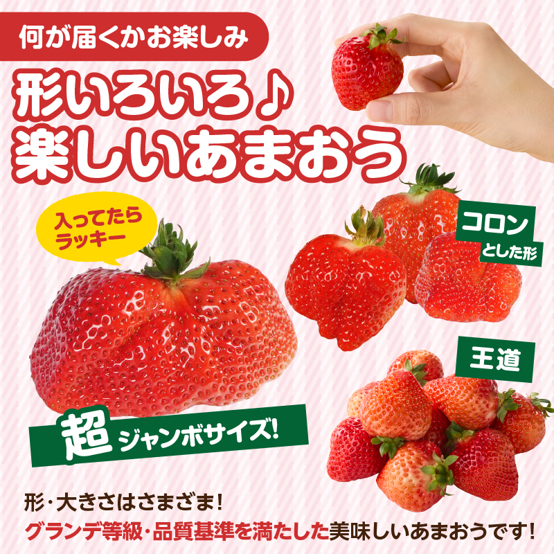 【先行受付：2026年2月発送開始】博多あまおうＧ270g×4パック｜ＪＡふくおか八女 あまおう いちご 苺 イチゴ フルーツ 果物 くだもの 人気 旬 福岡県産 大粒 アフター補償 数量限定 期間限定 産地直送 グランデ 福岡県 八女市