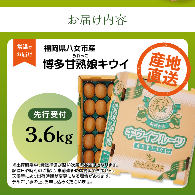 【先行予約】【2025年12月発送開始】博多甘熟娘（うれっこ）キウイ3.6kg｜ＪＡふくおか八女 キウイフルーツ 福岡 高糖度 先行予約 グリーンキウイ ヘイワード種