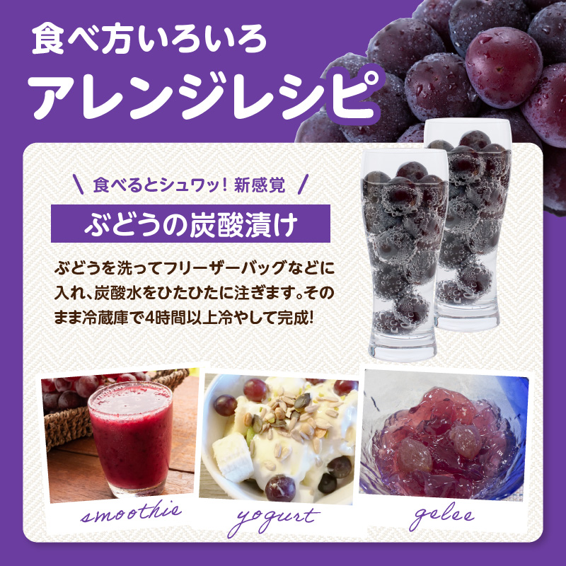 【先行受付】博多ピオーネ 1.4kg（350g×4パック）｜7月上旬～発送予定