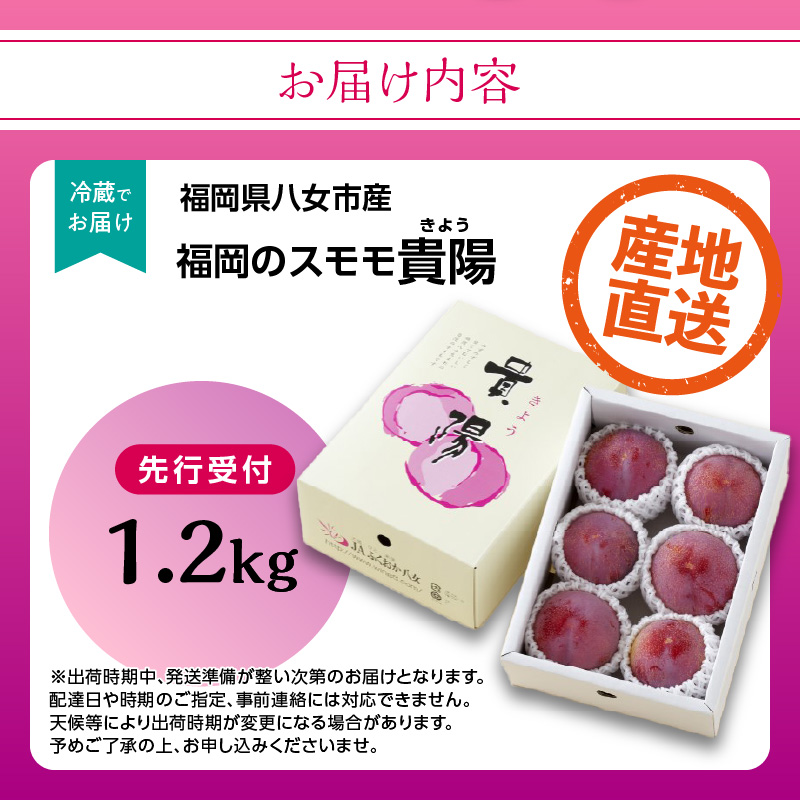 【先行受付】＜福岡のスモモ＞貴陽【1.2kg】【JAふくおか八女】※7月上旬～発送予定 すもも フルーツ 産地直送 高糖度 糖度18度 美味しい 濃厚 甘酸っぱい 旬 先行予約 数量限定 期間限定 クール便 冷蔵配送