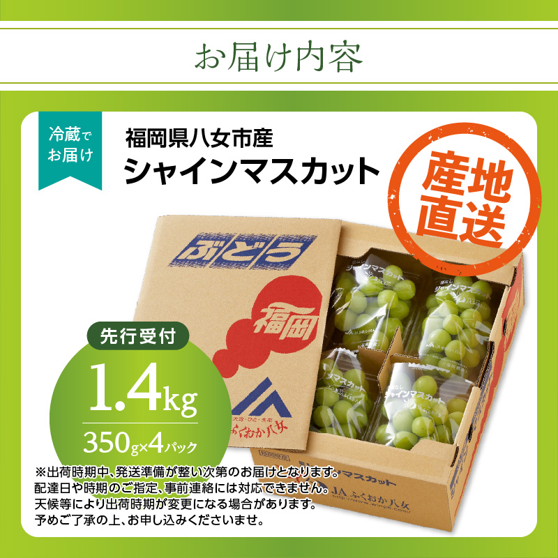 【先行予約】シャインマスカット 1.4kg（350g×4パック）【ＪＡふくおか八女】｜９月上旬～発送予定 マスカット ぶどう 種なし 皮ごと食べられる 糖度18度 高糖度 甘い 厳選 産地直送 1.4kg 先行予約 旬 クール便 品質保証 数量限定 福岡 八女