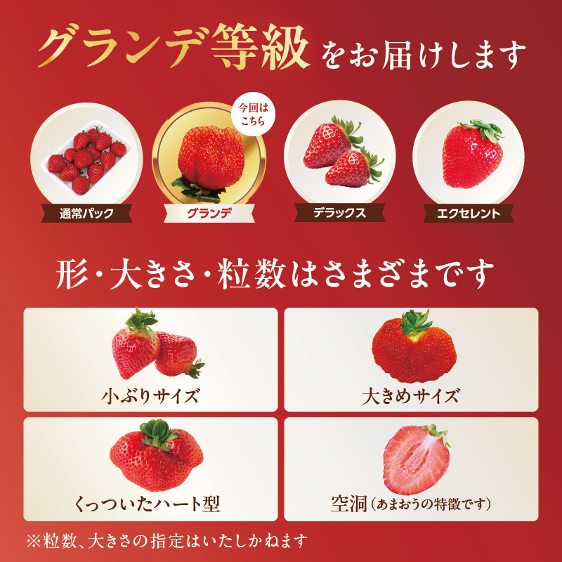 【先行受付：2026年2月発送開始】博多あまおうＧ270g×10パック｜ＪＡふくおか八女 あまおう いちご 苺 イチゴ フルーツ 果物 くだもの 人気  旬 福岡県産 大粒 アフター補償 数量限定 期間限定 産地直送 グランデ 福岡県 八女市