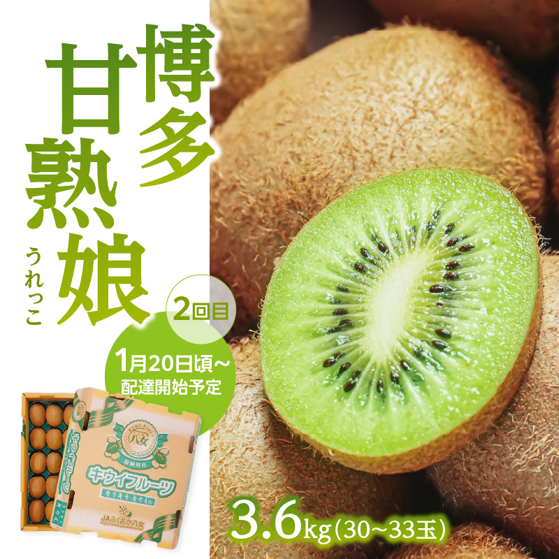 福岡冬の果物定期便【全3回】冬のお届け便　JAふくおか八女からお届け！！ みかん ミカン キウイ あまおう いちご 苺 イチゴ フルーツ 果物 くだもの 人気 旬 福岡県産 アフター補償 数量限定 期間限定 産地直送 全3回 定期便 福岡県 八女市