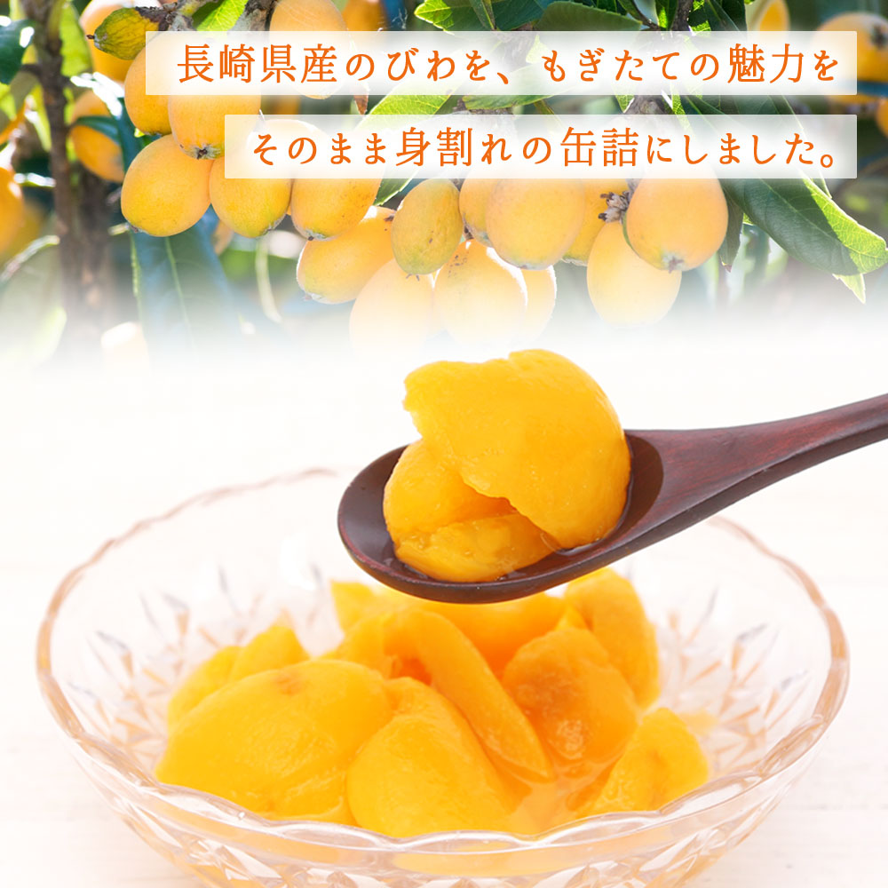 長崎県産 びわ（身割れ）缶詰 8個セット 国産 八女市 ビワ 枇杷 フルーツ缶詰 保存食 非常食 防災 備蓄食 かんづめ フルーツ 果物 身割れ まとめ買い