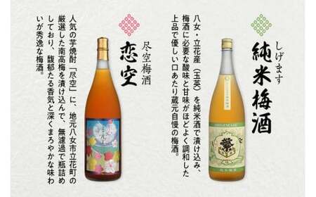 【ギフト用】八女の極上梅酒セット（ギフト対応）純米酒仕込み 飲み比べ 本格梅酒 ロック お酒 ギフト プレゼント 福岡県 八女市