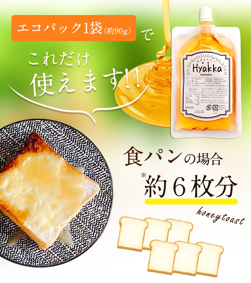 かの蜂 蜂蜜 エコパック ベトナム産ライチ蜂蜜 90g×1袋 メール便  はちみつ ハチミツ ライチ フルーティー 便利 パンケーキ トースト ヨーグルト 福岡県 八女市