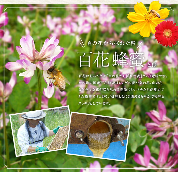 【全3回】 定期便 かの蜂 国産 百花蜂蜜 合計3kg（とんがり容器1kgを毎月1本お届け） 純粋はちみつ ハチミツ 非加熱 ハニー 大容量 国産 健康食品 栄養豊富 蜂蜜 とんがり容器