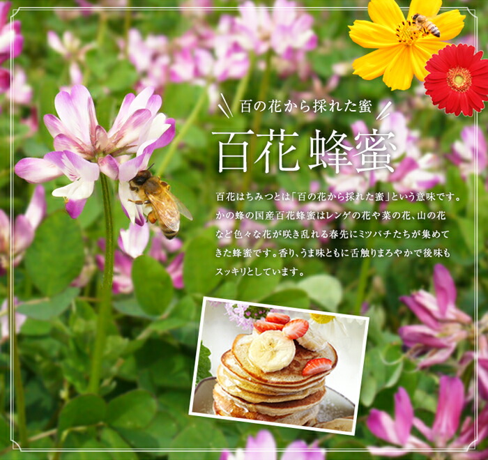 【全12回】 定期便 かの蜂 国産 百花蜂蜜 合計12kg（とんがり容器500gを毎月2本お届け） 純粋はちみつ ハチミツ 非加熱 ハニー 大容量