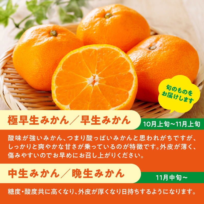 ＜道の駅たちばなオリジナル＞みかん5kg詰合せ 早生みかん 中生みかん 晩生みかん ミカン オレンジ 果物 フルーツ