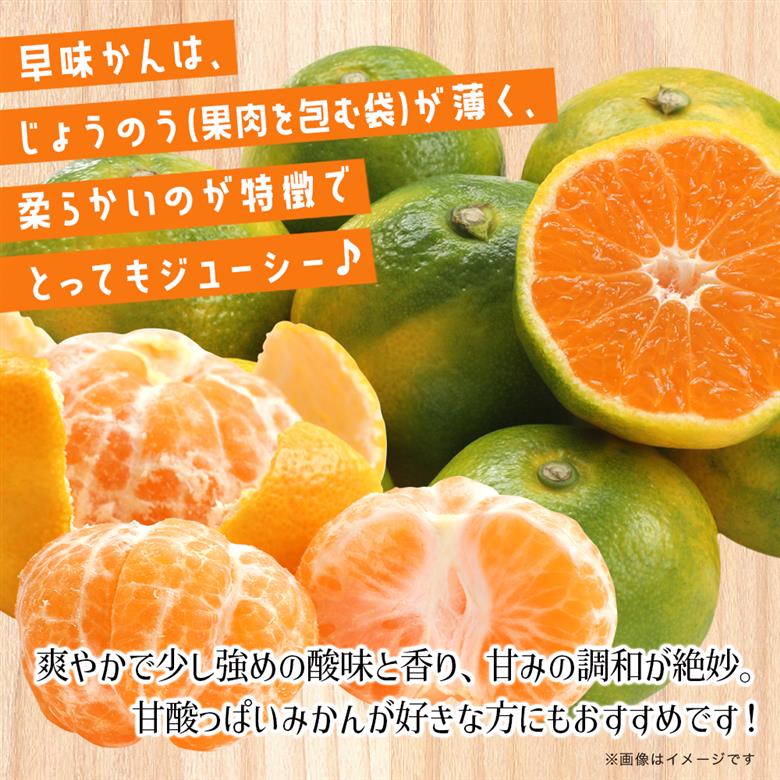 【先行受付】2026年の秋に配送！福岡県オリジナル品種極早生みかん『早味かん』約5kg＜配送不可：北海道・沖縄・離島＞ 果物 フルーツ ミカン おいしい 八女