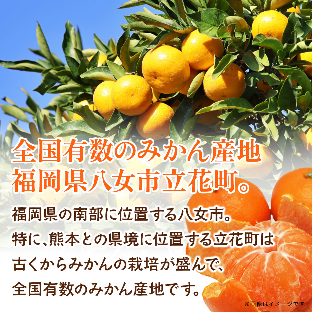 【先行受付】九州・福岡フルーツ王国八女　産地直送！旬のみかん　約１０ｋｇ【2025年9月～12月頃発送】＜配送不可：北海道・沖縄・離島＞
