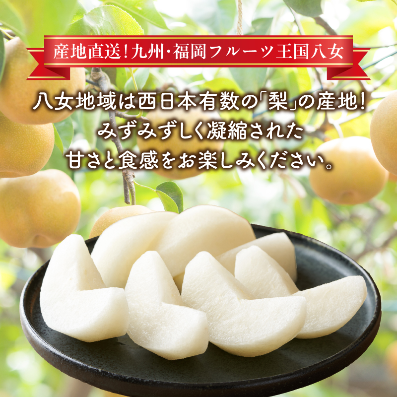 産地直送！ 梨(豊水) 約5kg 【2026年8～9月発送】九州・福岡フルーツ王国八女 ＜配送不可：北海道・沖縄・離島＞ なし ナシ 果物 果実 フルーツ 先行予約 デザート 旬 新鮮 甘い 甘み ジューシー みずみずしい 果汁 国産 季節限定 冷蔵配送 数量限定 秋の味覚