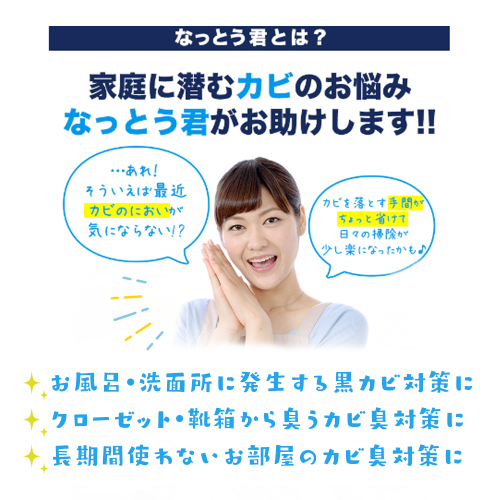 カビ消臭なっとう君押入れ用　3点セット
