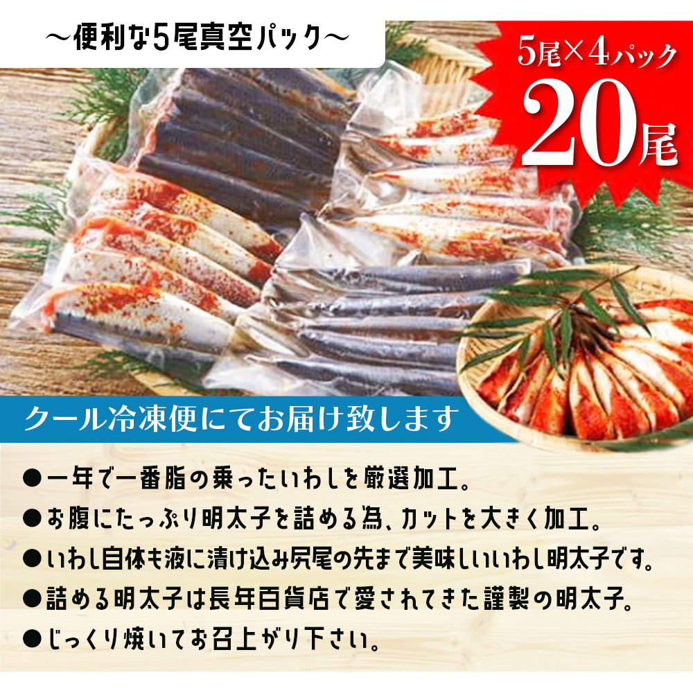 ふるさと納税 いわし明太子2尾×9袋セット_PA0348 福岡県宗像市 博多漁師の里いわし明太子２０尾（５尾×４パック）化粧箱入り 化粧