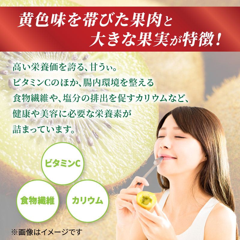 【先行受付：2026年11月頃発送開始】福岡限定品種キウイ「甘うぃ」約3kg<配送不可地域：北海道・沖縄・離島>  先行受付 キウイ キウイフルーツ フルーツ 果物 くだもの 甘い 高糖度 希少 オリジナル品種 新品種 新ブランド