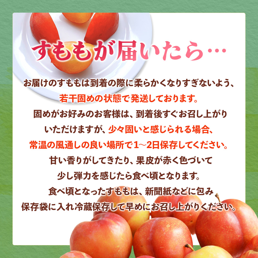 【2026年6月発送予定】九州・福岡フルーツ王国八女から直送！すもも約1.4kg｜＜配送不可：北海道・沖縄・離島＞ 数量限定 直送 1.4kg 旬 時期 すもも スモモ 果物 くだもの フルーツ デザート ジューシー 甘酸っぱい 家族団らん 冷蔵 九州 福岡県 八女市