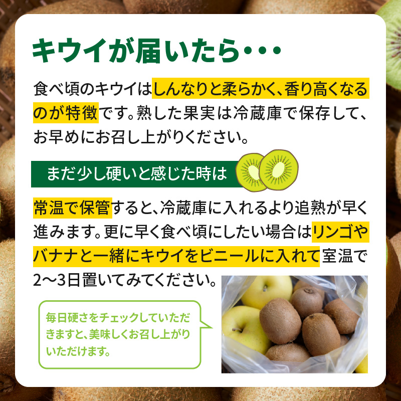 【先行受付：2026年11月頃発送開始】福岡限定品種キウイ「甘うぃ」約1.3～1.5kg <配送不可地域：北海道・沖縄・離島>  先行受付 キウイ キウイフルーツ フルーツ 果物 くだもの 甘い 高糖度 希少 オリジナル品種 新品種 新ブランド 福岡県 八女市