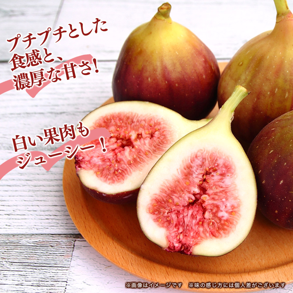【先行受付】【2026年9月～10月頃順次発送】福岡県オリジナル品種 高糖度プレミアムいちじく 「とよみつひめ」約1.2kg ＜配送不可：北海道・沖縄・離島＞
