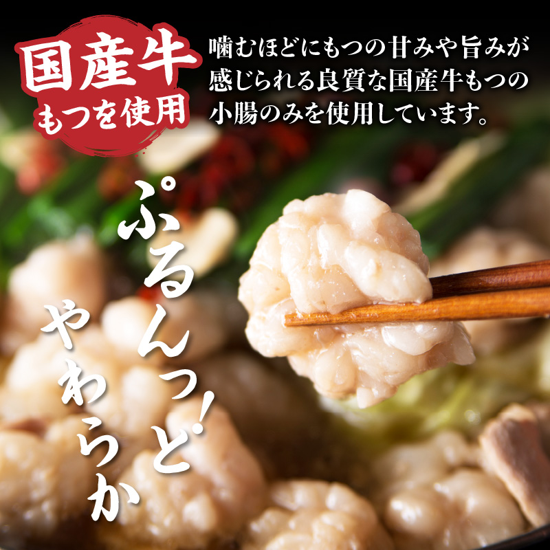 【海千】もつ鍋2～3人前セット（醤油味）  国産牛もつ 九州醤油 宗像産大豆 博多もつ鍋 ちゃんぽん麺 ヘルシー 野菜たっぷり ぷるん 甘め 特製スープ 福岡県 八女市