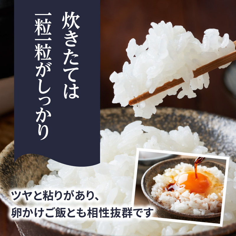 【限定価格】九州・福岡からお届け！ブランド米「元気つくし」 10kg(5㎏×2)  お米 米 コメ 白米 特A 直送 お弁当 おにぎり 炊きたて ツヤ 粘り もちもち 弾力 卵かけご飯 福岡県 八女市