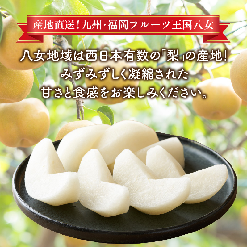 九州・福岡フルーツ王国八女 産地直送！梨(豊水）6玉｜＜配送不可：北海道・沖縄・離島＞  なし ナシ 果物 果実 フルーツ 先行予約 デザート 旬 新鮮 甘い 甘み ジューシー みずみずしい 果汁 国産 お試し 季節限定 冷蔵配送 秋の味覚 福岡県 八女市