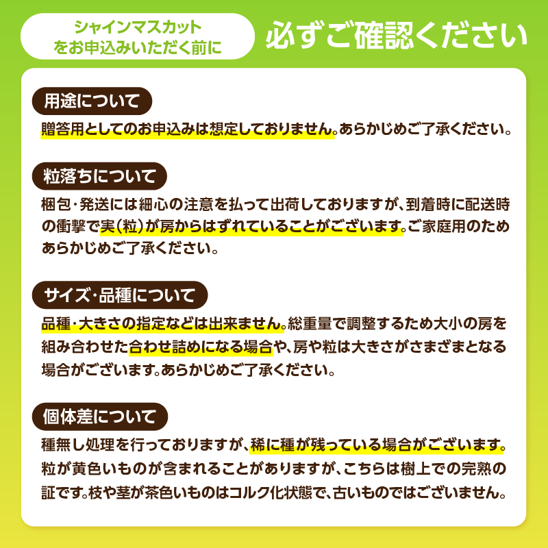 九州・福岡フルーツ王国八女　お楽しみ旬のフルーツ定期便【全３回】 F｜＜配送不可：北海道・沖縄・離島＞ あまおう 苺 いちご イチゴ シャインマスカット ぶどう もも 桃 モモ 果物 くだもの フルーツ 定期便 デザート 旬 もぎたて 直送 福岡 八女市