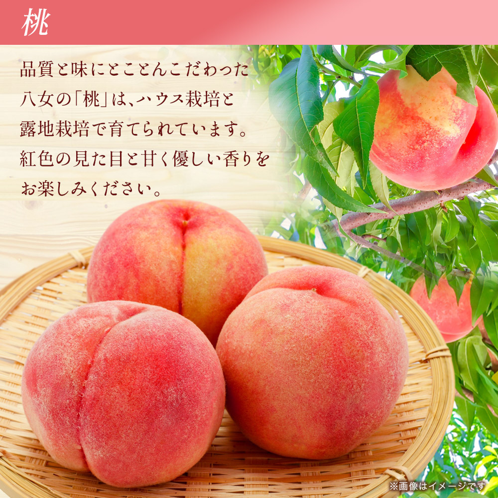 九州・福岡フルーツ王国八女　お試し旬のフルーツ定期便【全２回】 E｜＜配送不可：北海道・沖縄・離島＞  あまおう いちご 苺 イチゴ もも 桃 果物 フルーツ 旬 もぎたて 定期便 福岡 八女