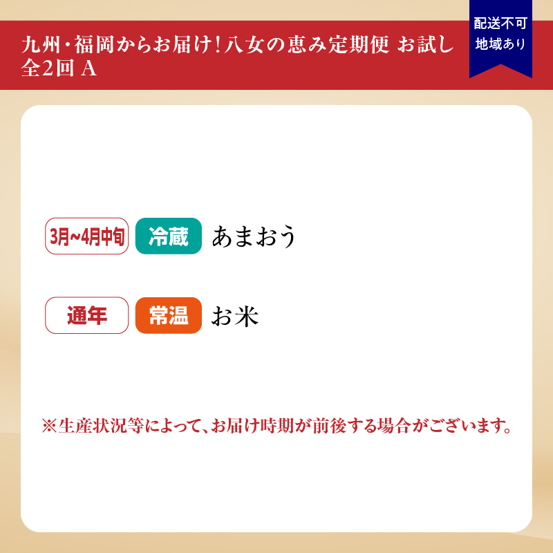 九州・福岡からお届け！八女の恵み定期便お試し【全2回】A　※配送不可：北海道と離島（沖縄本島を含む）