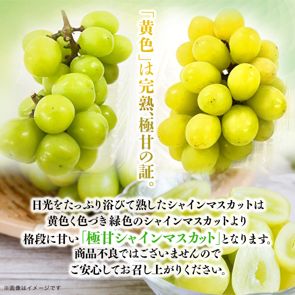 福岡・八女お楽しみプレミアム定期便【ゴールド】全24回＜配送不可：北海道・沖縄・離島＞ 肉 野菜 フルーツ 果物 九州 グルメ 食べ物 旬の味覚 いちご あまおう シャインマスカット もつ鍋 特産品 黒毛和牛 博多和牛 八女 福岡 定期便