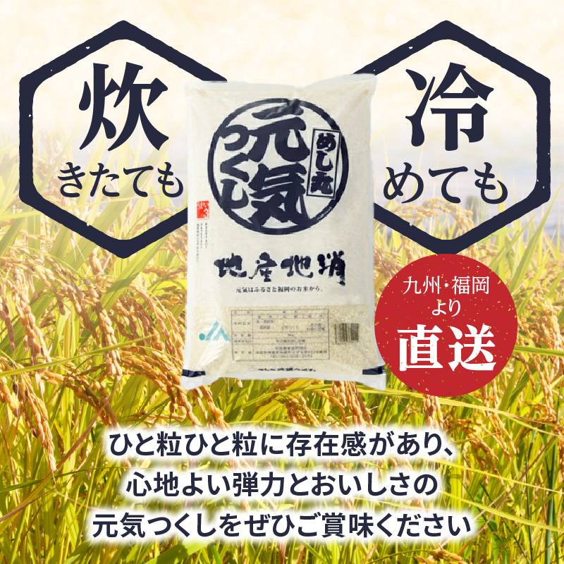 九州・福岡からお届け！ブランド米「元気つくし」定期便【全３回】 お米 米 コメ 白米 特A 直送 お弁当 おにぎり 炊きたて ツヤ 粘り もちもち 弾力 卵かけご飯 福岡県 八女市