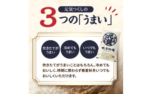 九州・福岡からお届け！ブランド米「元気つくし」定期便 10kg(5㎏×2)【全10回】  お米 米 コメ 白米 特A 直送 お弁当 おにぎり 炊きたて ツヤ 粘り もちもち 弾力 卵かけご飯 福岡県 八女市