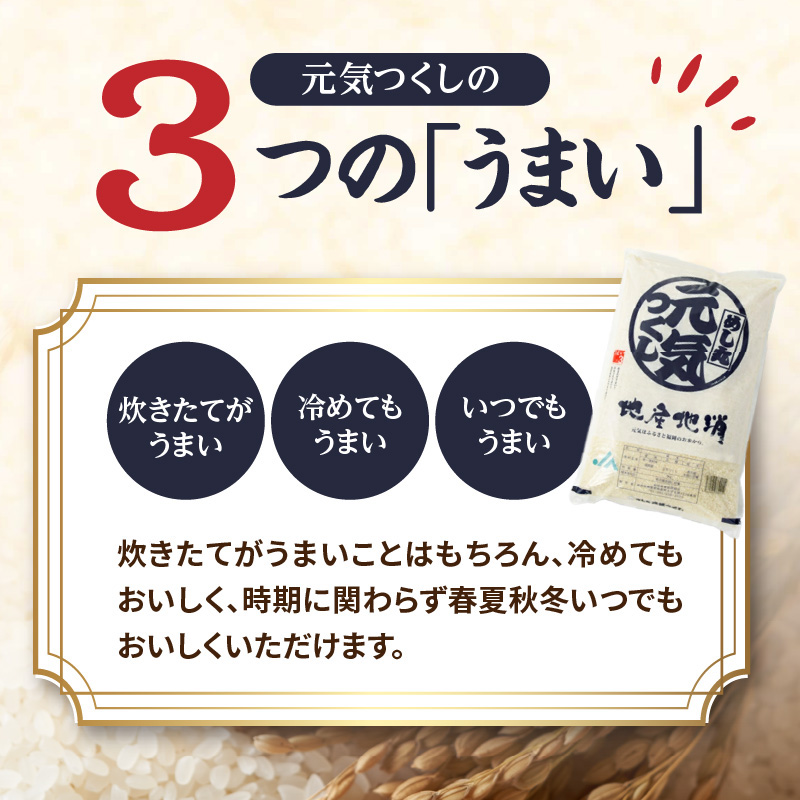 九州・福岡からお届け！ブランド米「元気つくし」定期便 10kg(5㎏×2)【全12回】  お米 米 コメ 白米 特A 直送 お弁当 おにぎり 炊きたて ツヤ 粘り もちもち 弾力 卵かけご飯 福岡県 八女市