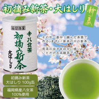 【予約限定茶】希少品「2026年産  初摘み新茶」100g缶詰 2缶化粧箱入 ギフト対応 ＜岩崎園製茶＞｜2026年5月初旬頃発送