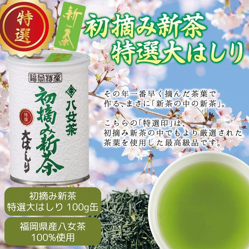 【予約限定茶】希少品「2026年産 特選初摘み新茶」100g缶詰 2缶化粧箱入 ギフト対応＜岩崎園製茶＞｜2026年5月初旬頃発送