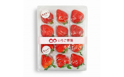 ＜2026年1月～順次発送＞いちご姉妹【あまおう＋旬のイチゴ】食べ比べセット★数量限定★  あまおう いちご 苺 イチゴ フルーツ 果物 くだもの 人気 旬 福岡県産 食べ比べ 採れたて 2品種 セット 冷蔵配送 箱入り 贈答品 プレゼント 贈り物 産地直送 福岡県 八女市