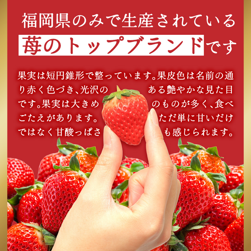福岡県産あまおう 約250g×4パック  いちご イチゴ 苺 あまおう フルーツ 果物 くだもの 250g 4パック 福岡県 八女市