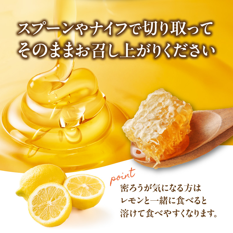  【TVで紹介！】はちみつ 国産純粋蜂蜜 極巣みつ 310g 非加熱 はちみつ ハチミツ 生はちみつ ローハニー オススメ 贈答 贈り物 プレゼント 八女市