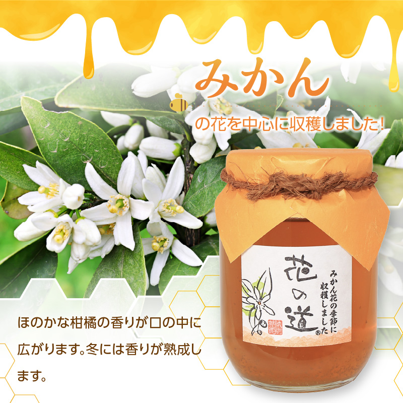 国産 みかんみつ 750ｇ