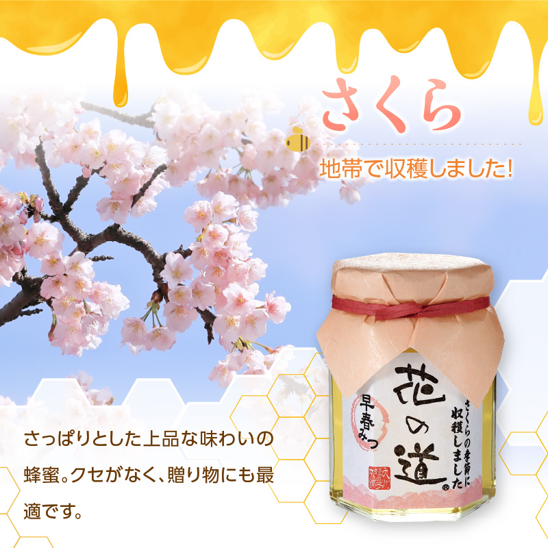 国産純粋蜂蜜 早春みつ 140g 非加熱 はちみつ ハチミツ 生はちみつ ローハニー オススメ 贈答 贈り物 プレゼント 八女市