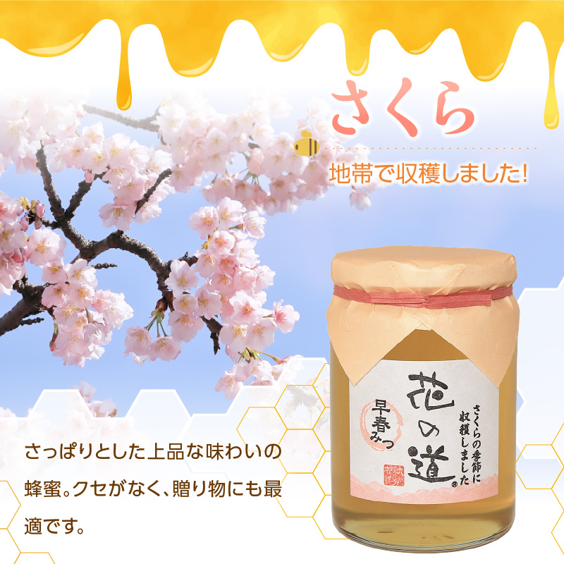 国産純粋蜂蜜 早春みつ 430g 非加熱 はちみつ ハチミツ 生はちみつ ローハニー オススメ 贈答 贈り物 プレゼント 八女市