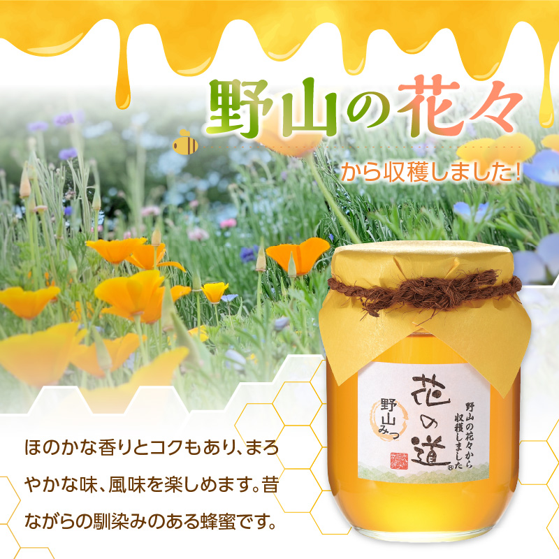 国産純粋蜂蜜 野山みつ 750g 非加熱 はちみつ ハチミツ 生はちみつ ローハニー オススメ 贈答 贈り物 プレゼント 八女市