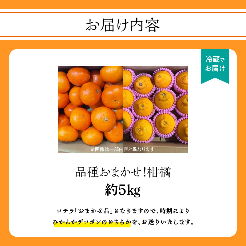 品種おまかせ！柑橘（5kg）＜配送不可：北海道・沖縄・離島＞  ミカン みかん デコポン 柑橘 おまかせ 5キロ 旬 フルーツ 果物 福岡県 八女市